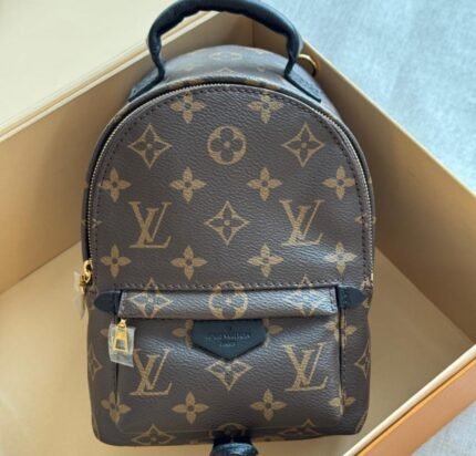 Louis Vuitton Palm Springs Mini Backpack - Monogram Canvas