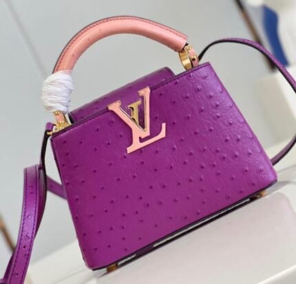 Louis Vuitton Capucines bag in a Purple.