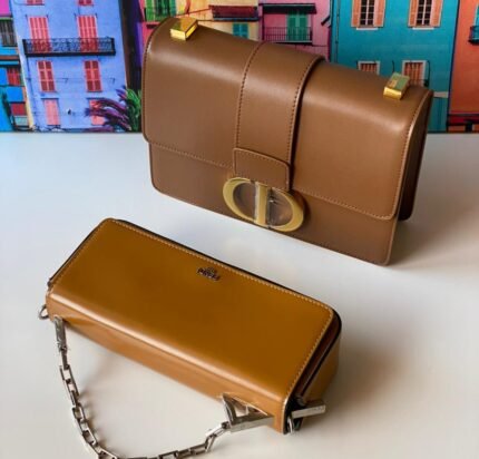 The Christian Dior 30 Montaigne Bag in tan