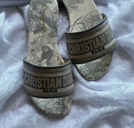 The Christian Dior Dway Slide in Grey Stone Toile de Jouy